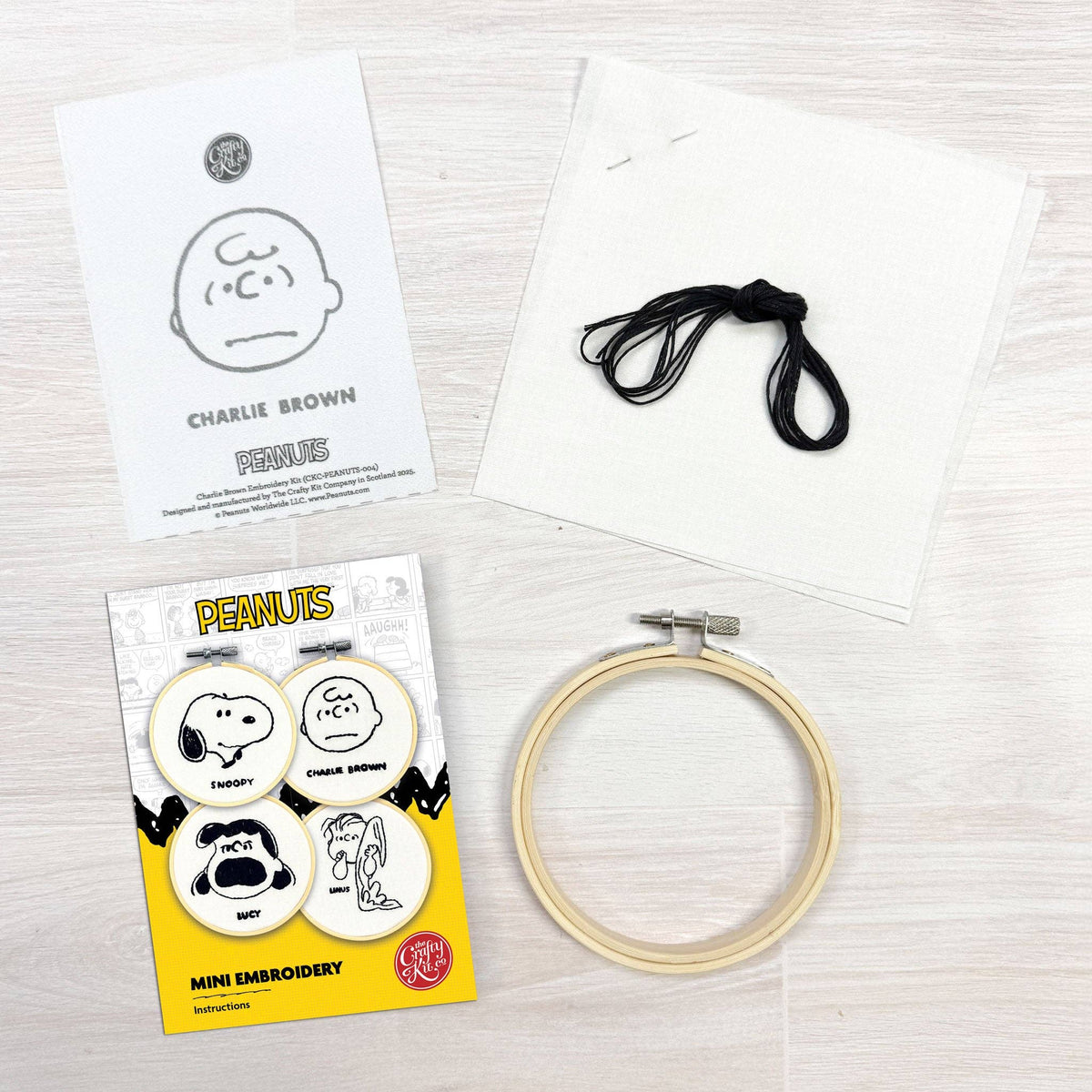Peanuts: Charlie Brown - Mini Embroidery Kit