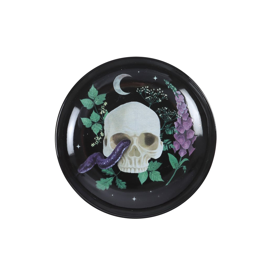 Venom & Vines: Skull Trinket Dish