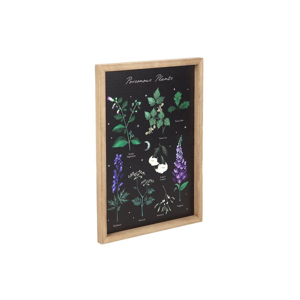 Venom & Vines: Poisonous Plants Framed Print