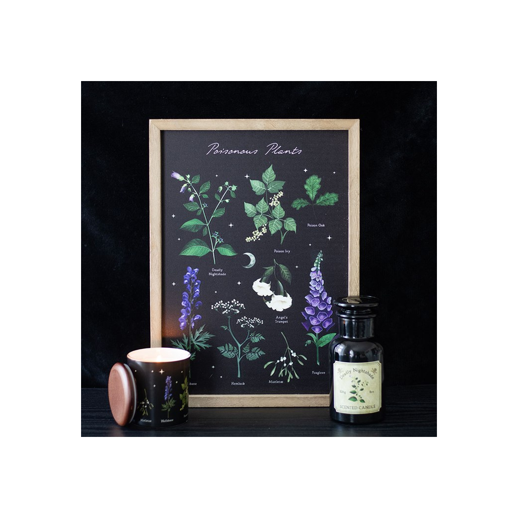 Venom & Vines: Poisonous Plants Framed Print