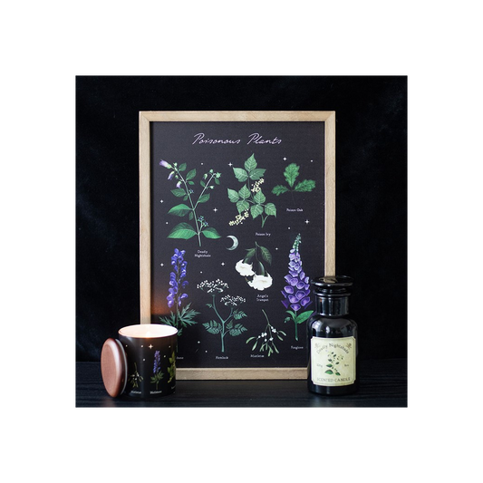 Venom & Vines: Poisonous Plants Framed Print