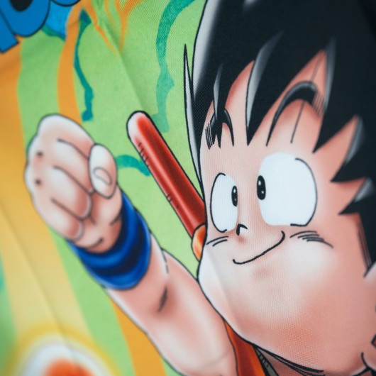 Dragon Ball: Goku Wall Banner