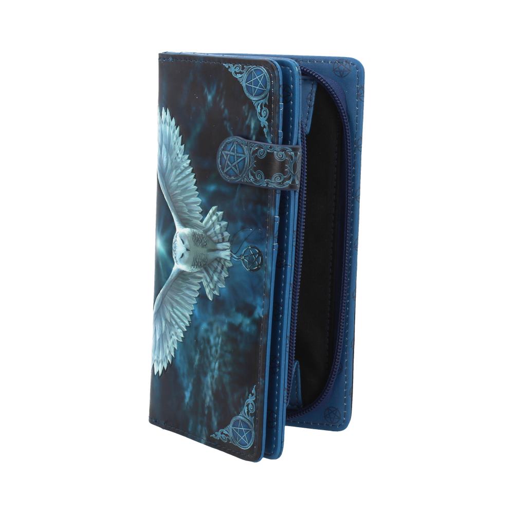 Anne Stokes x Nemesis Now: Awaken Your Magic Owl Purse