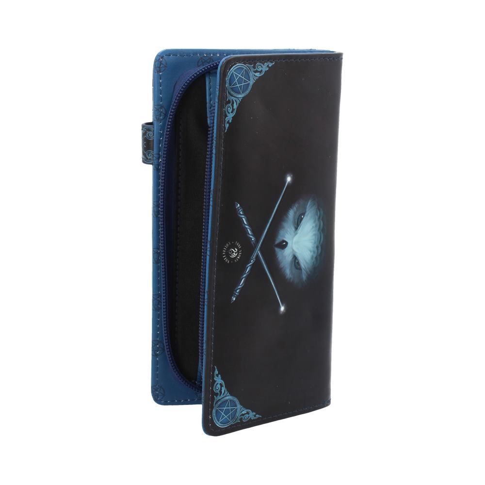 Anne Stokes x Nemesis Now: Awaken Your Magic Owl Purse