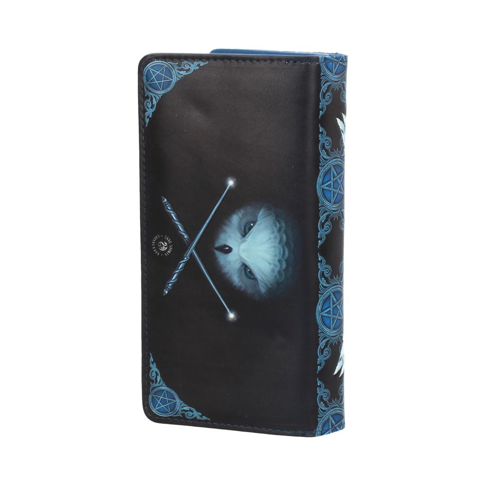 Anne Stokes x Nemesis Now: Awaken Your Magic Owl Purse
