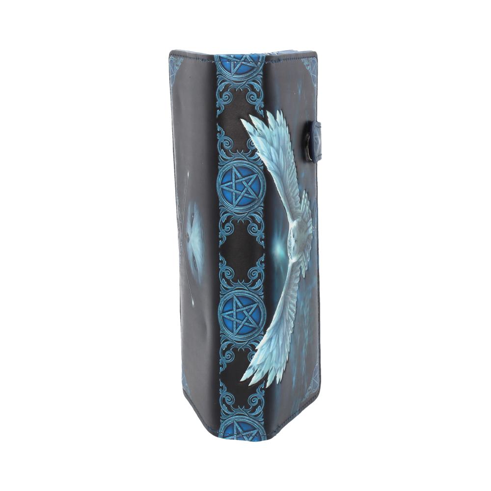 Anne Stokes x Nemesis Now: Awaken Your Magic Owl Purse