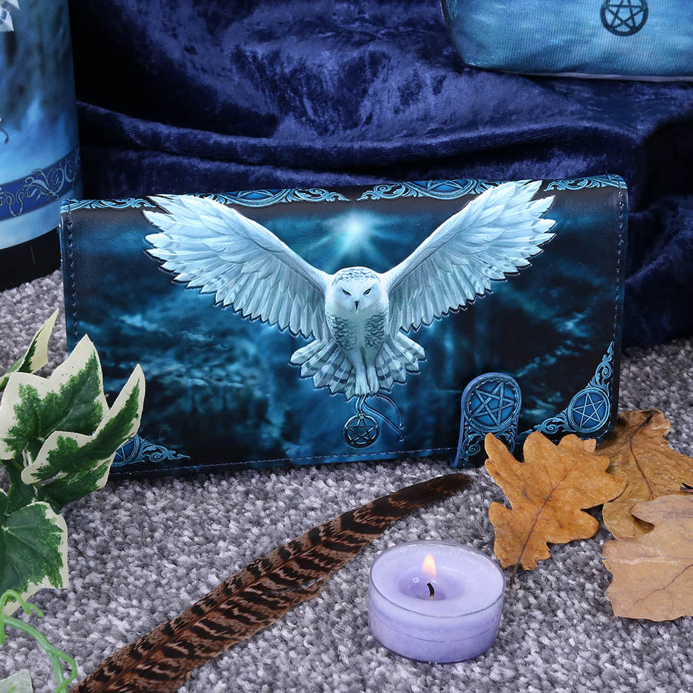Anne Stokes x Nemesis Now: Awaken Your Magic Owl Purse