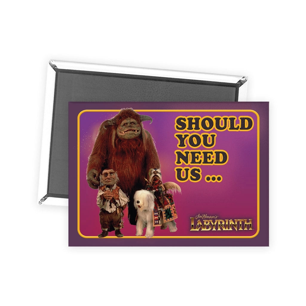 Labyrinth: Should You Need Us Magnet