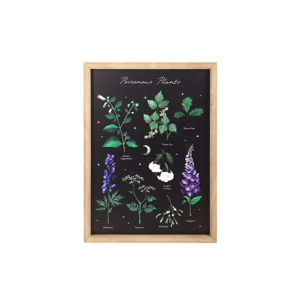 Venom & Vines: Poisonous Plants Framed Print
